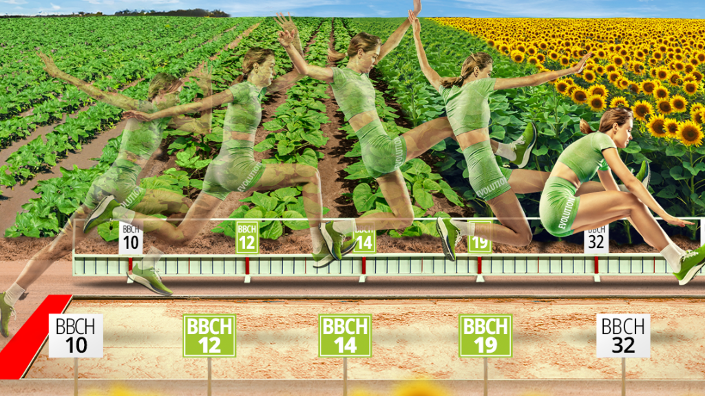 Evolution page landing banner