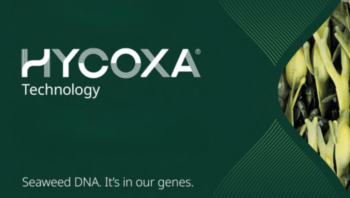 hycoxa technology upl