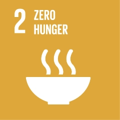SDG 4