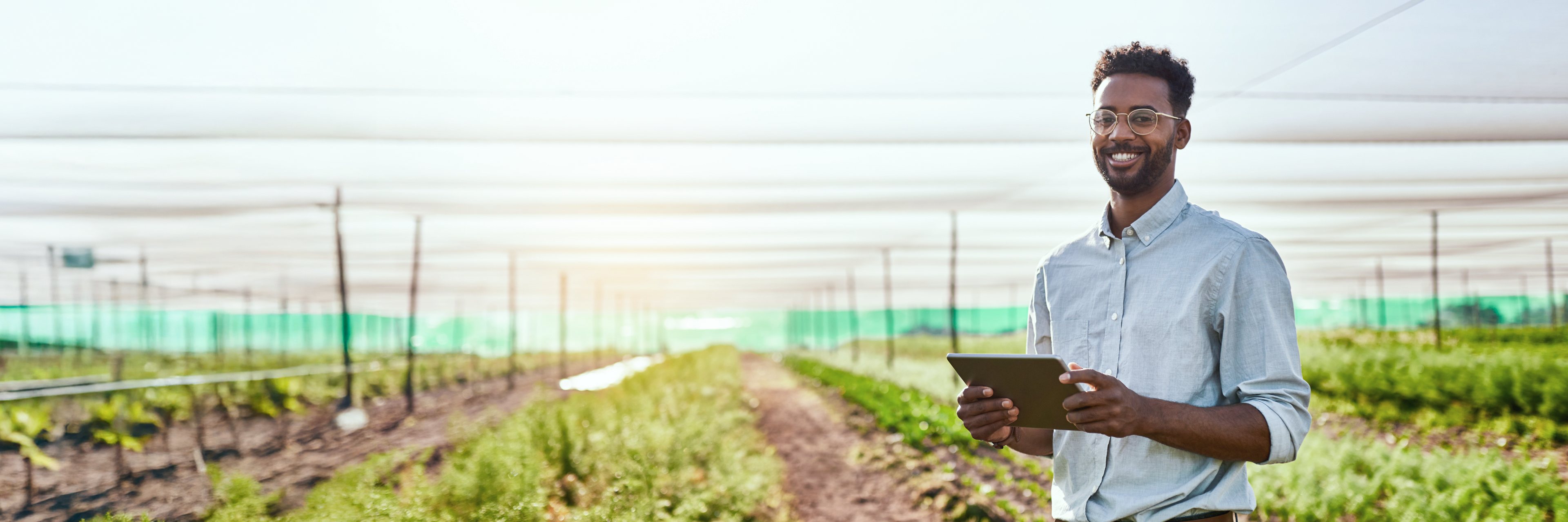 Stewardship & Training