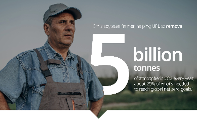 Reimagining Sustainability