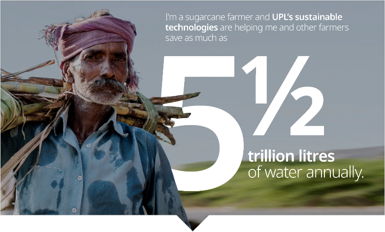 Reimagining Sustainability