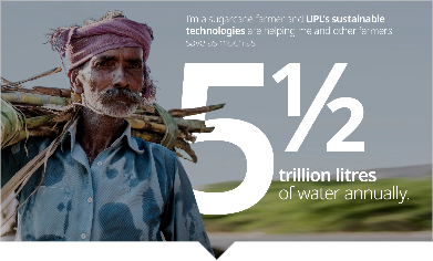 Reimagining Sustainability