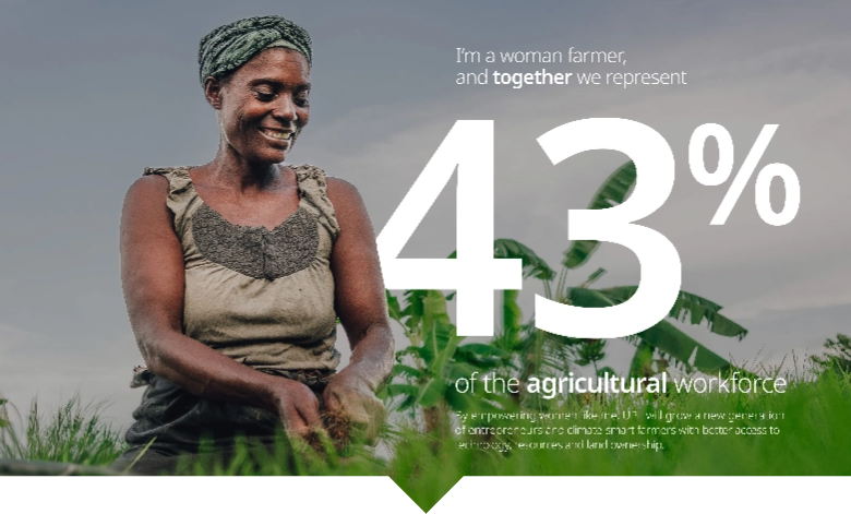 Reimagining Sustainability