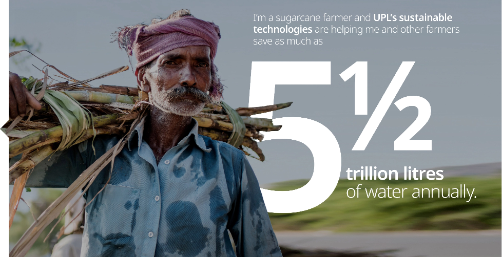 Reimagining Sustainability