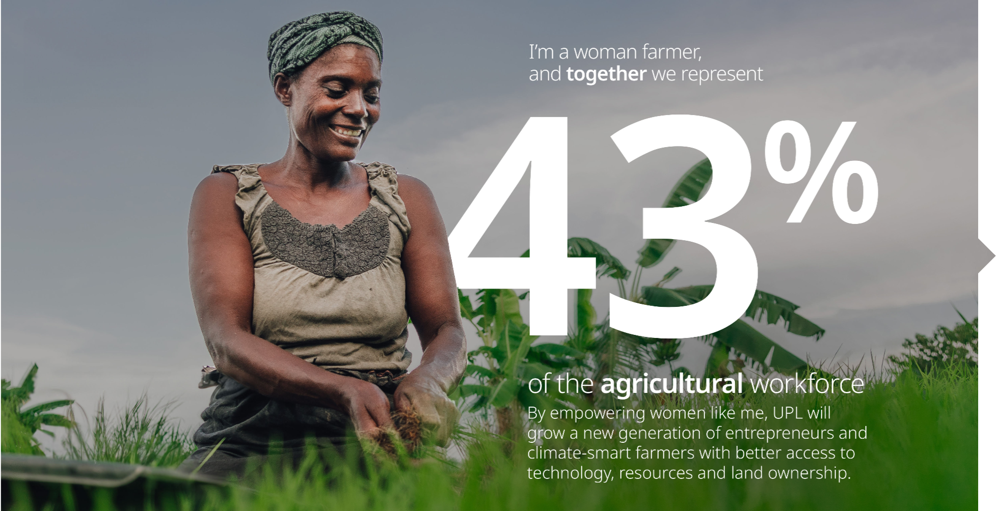 Reimagining Sustainability