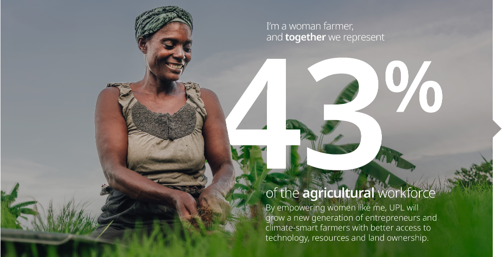 Reimagining Sustainability