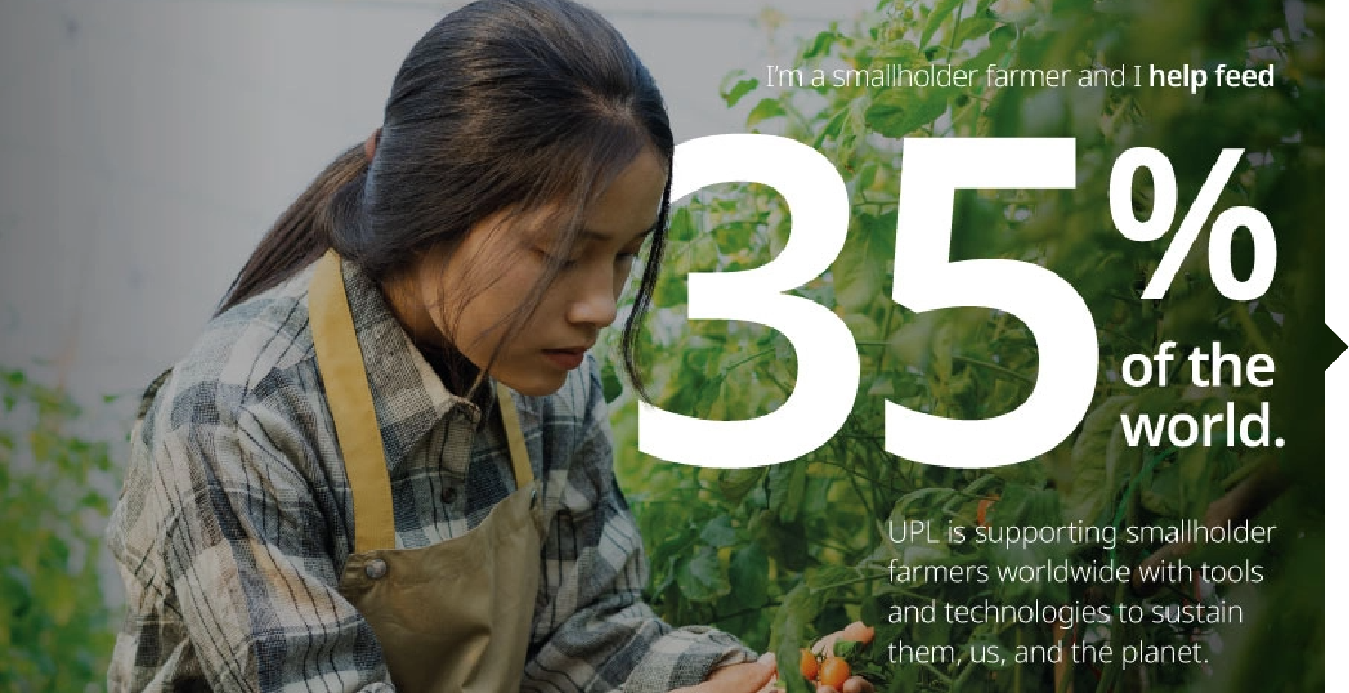 Reimagining Sustainability