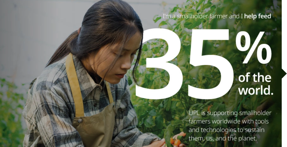 Reimagining Sustainability