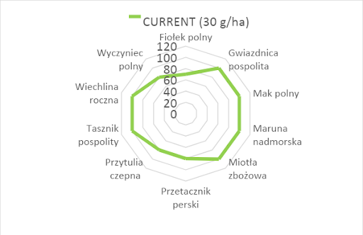 Pakiet Loop Current