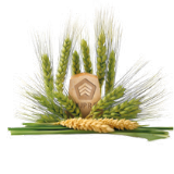 operation section left image