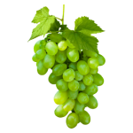 Grapes Bunch Closure