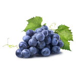 Grapes Post-harvest