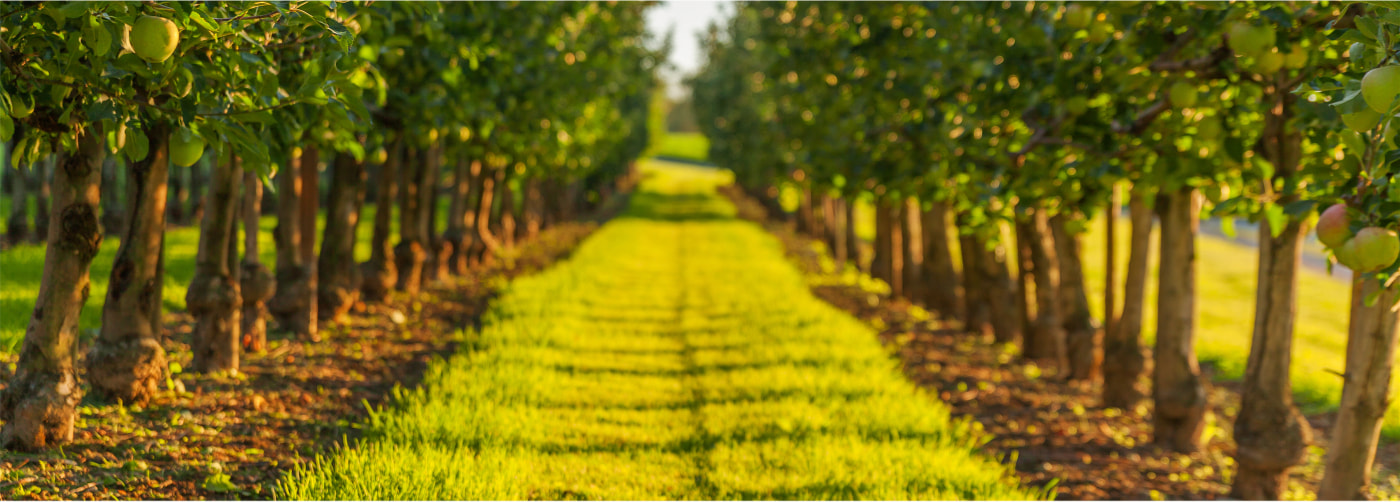 UPL Pome Fruit Portfolio