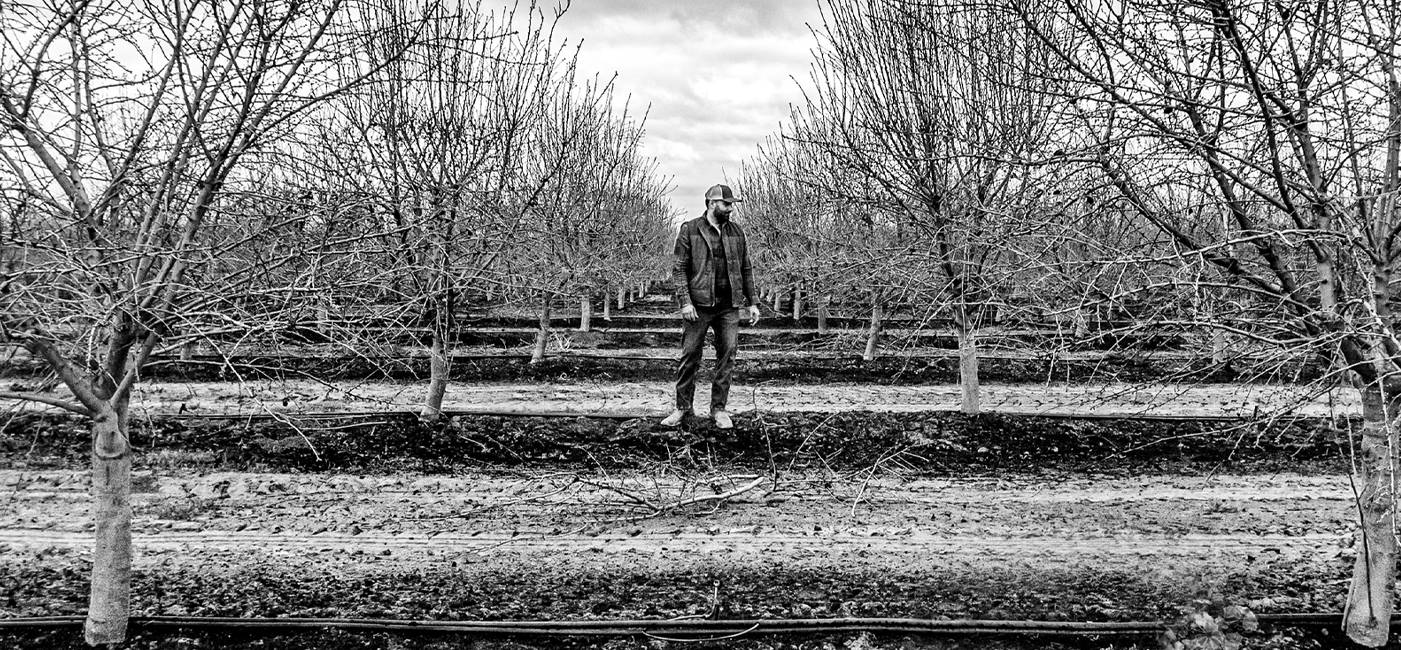 UPL Tree Nut Portfolio